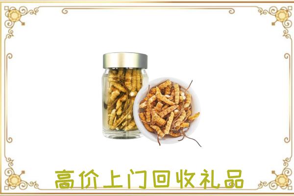 镇赉县周边回收虫草